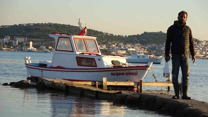 Edremit Körfezi’nde Köpek Balığı Paniği