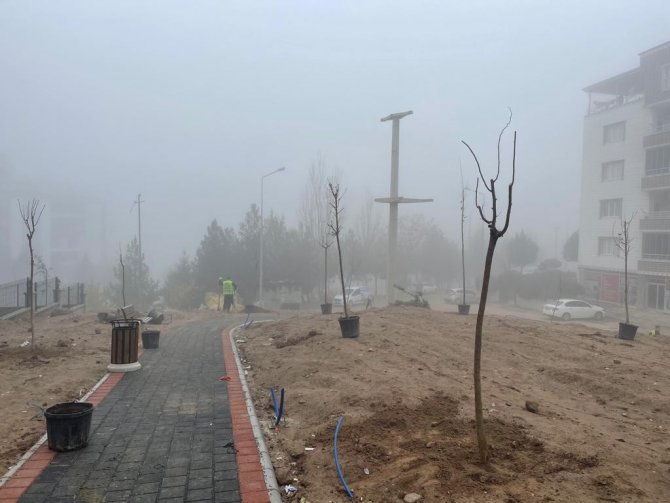 Batman’da Bir Ayda Bin 900 Ağaç Dikimi Gerçekleşti