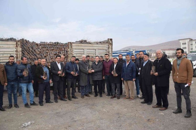 Kozluk’ta Çiftçilere 35 Bin Fıstık Fidanı Dağıtıldı