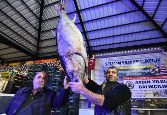 Dev Orkinos İlgi Odağı Oldu