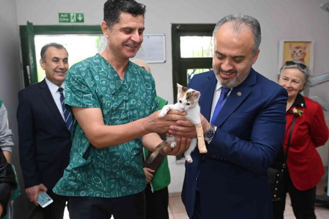 Sokak Hayvanlarına Büyükşehir Şefkati