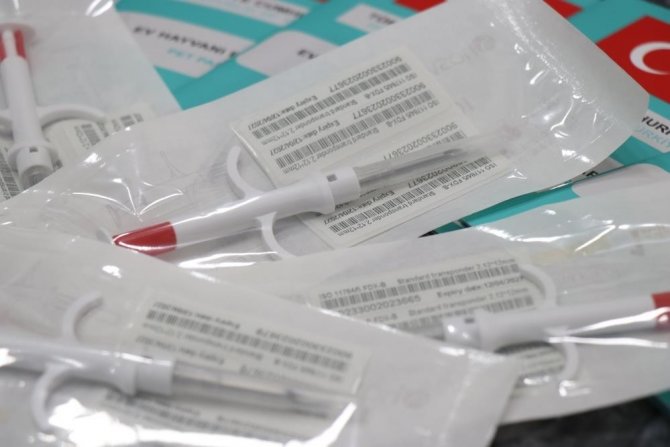 Hayvan Sahiplerine "Beyanname" Kolaylığı