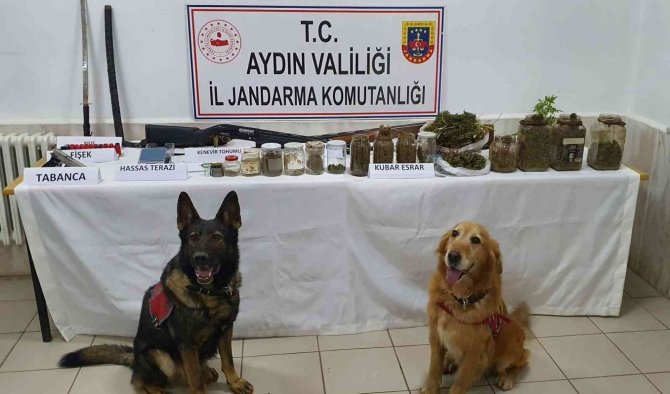 Didim’de Evinden Samuray Kılıcı Çıkan Uyuşturucu Taciri Tutuklandı