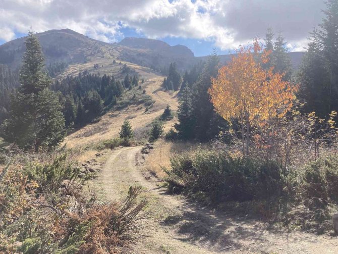 Türkiye’nin En Uzun Dağ Bisikleti Rotası Kastamonu’da Oluşturulacak