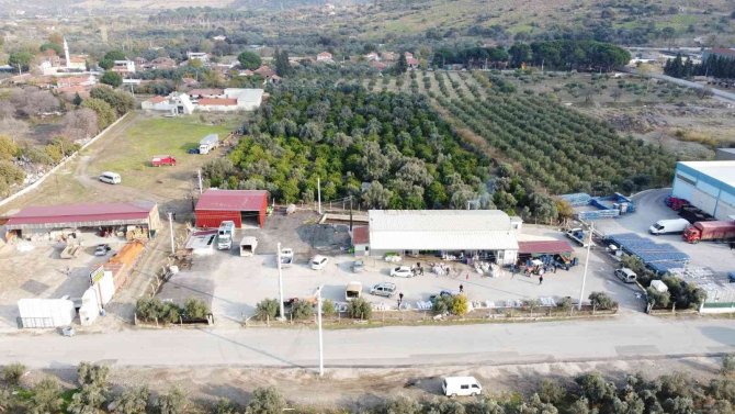 İ̇cradan Alındı, Yeniden Doğdu, Rekora Gidiyor