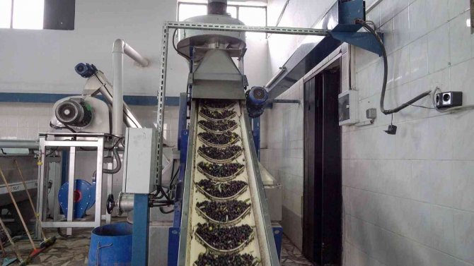 İ̇cradan Alındı, Yeniden Doğdu, Rekora Gidiyor