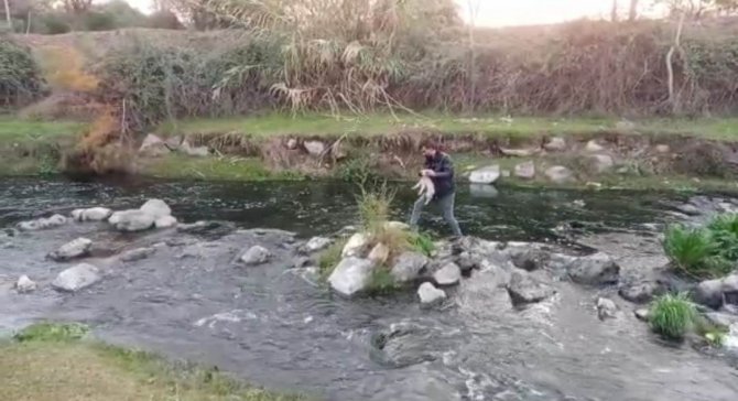 Derede Mahsur Kalan Yavru Köpeği İtfaiye Kurtardı