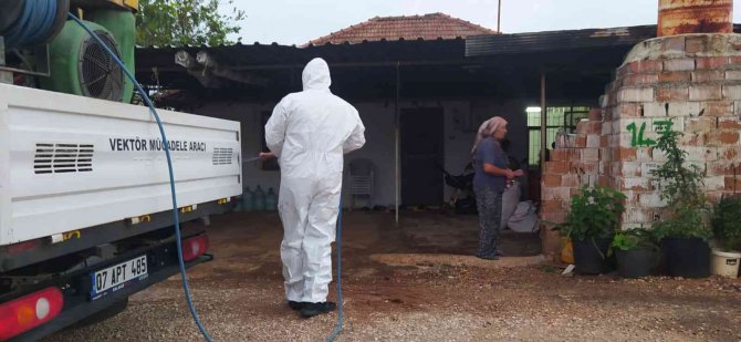 Vektörel Mücadele Kışın Da Devam Ediyor