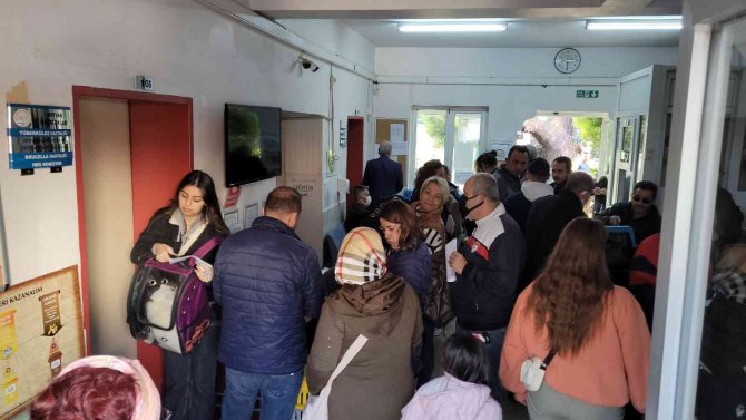 Kedisini, Köpeğini Getiren Mikroçip Sırasına Girdi