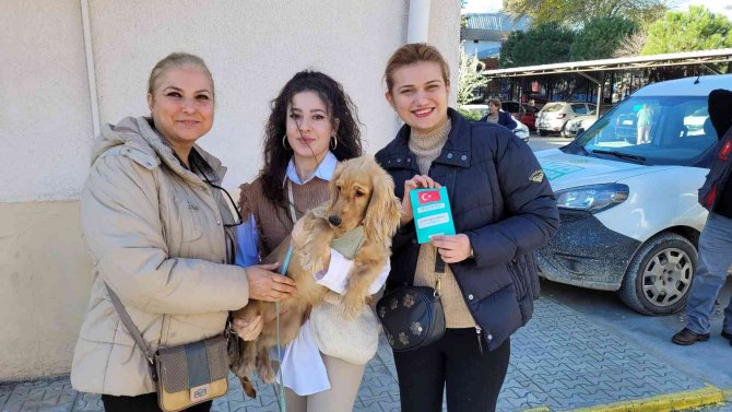 Kedisini, Köpeğini Getiren Mikroçip Sırasına Girdi
