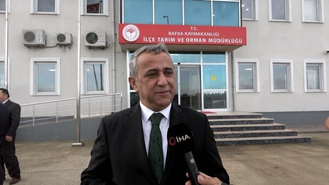 Samsun’da Evcil Hayvanların Kimliklendirme Çalışmaları Sürüyor