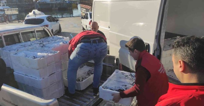 750 Kilo İstavrite El Konuldu