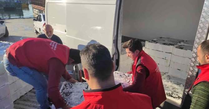 750 Kilo İstavrite El Konuldu