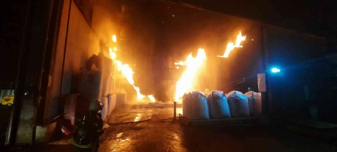 Milas’ta Balık Yem Fabrikasında Patlama Sonrası Yangın Çıktı