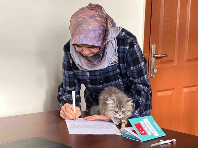 Nevşehir’de 3 Bin 200 Evcil Hayvan Çiplendi