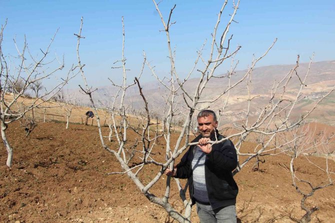 Siirt’te Kuraklık Endişesi Çiftçileri Korkutuyor