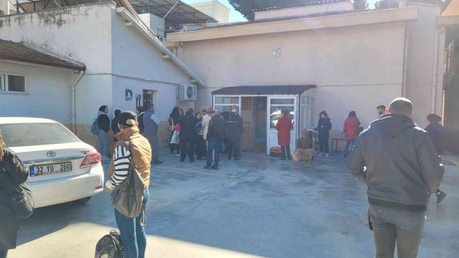 Kedisini, Köpeğini Getiren Mikroçip Sırasına Girdi