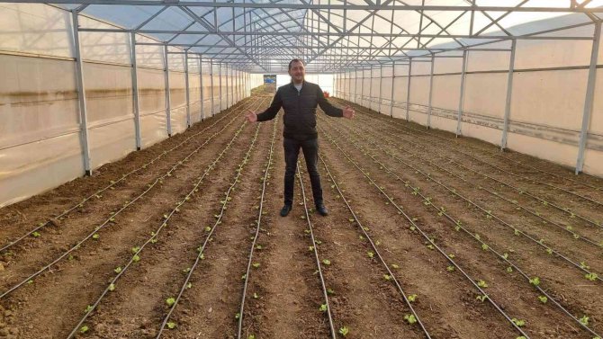 Tekirdağ Seracılığında Hedef İ̇stanbul Pazarı