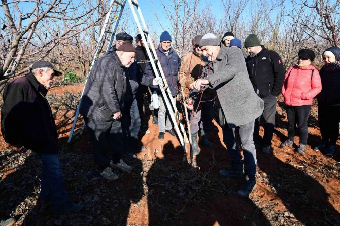 Üreticilere Budama Eğitimi Verildi