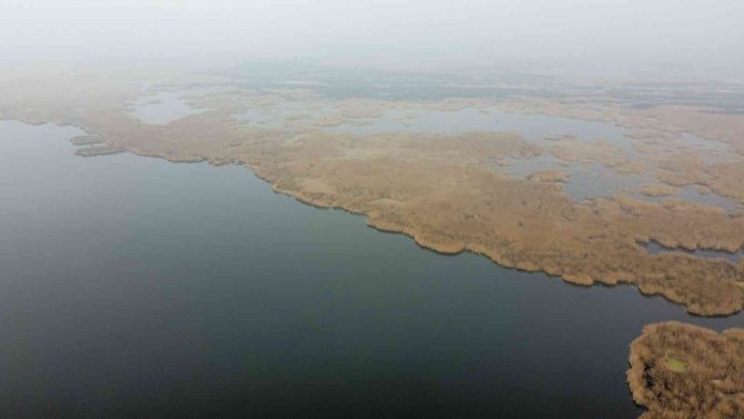 Eber Gölü’nden Sevindiren Görüntü