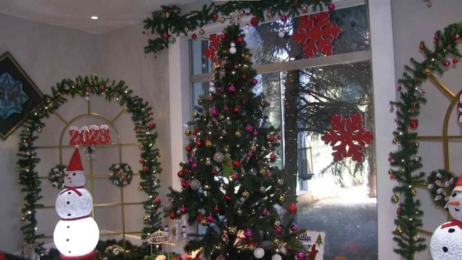 Yeni Yıla Sıcak Havuzda Girecekler