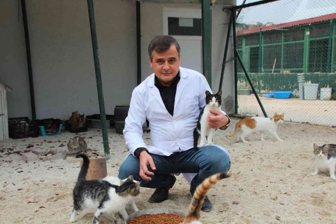 Evcil Hayvan Sahipleri Dikkat, Son 2 Gün