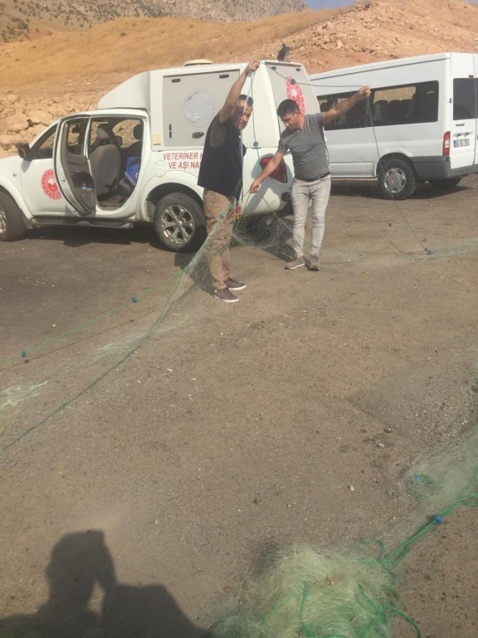 Siirt’te Kaçak Avcılık Yapan 25 Şahsa Para Cezası Uygulandı