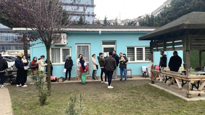 İ̇stanbul İ̇l Tarım Ve Orman Müdürü Karaca: “İ̇stanbul’da 220 Bin Kedi Ve 103 Bin Köpeğin Mikroçipleme İşlemlerini Bitirdik”