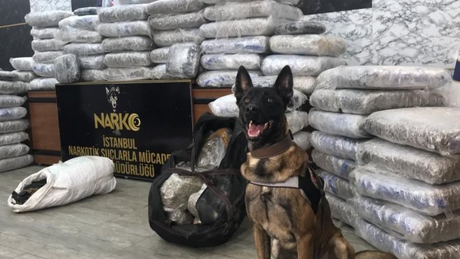 İ̇stanbul’da Uyuşturucu Operasyonu