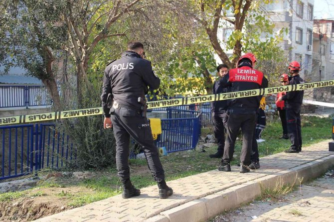 Zeytin Toplamak İçin Çıktığı Ağaç Sonu Oldu