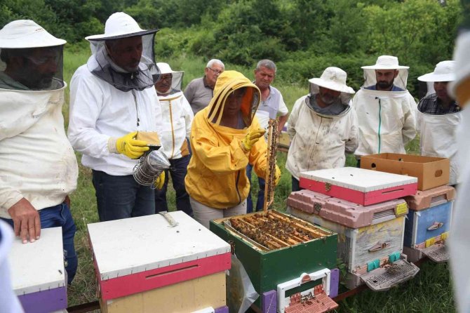 2022’de Meslek Ve Sanat Eğitimlerine Damga Vurdular