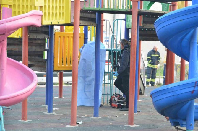 Çocuk Parkında Korkunç Olay