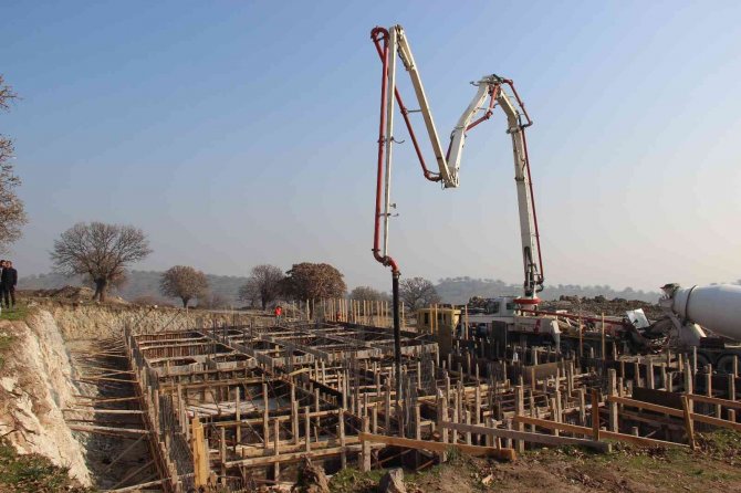 Sokak Hayvanları İçin 70 Milyonluk Yatırım