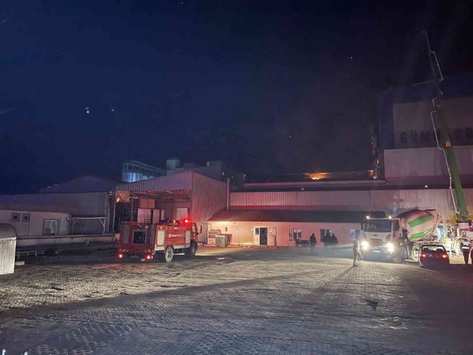 Balık Yemi Fabrikasındaki Yangın Kontrol Altına Alındı