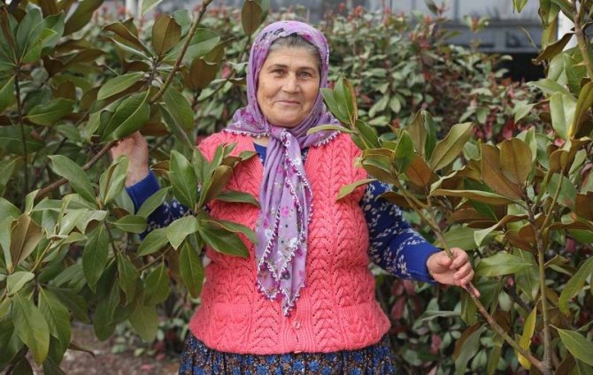 Ümmiye Koçak’ın Köyden New York’a Uzanan Başarı Hikayesi
