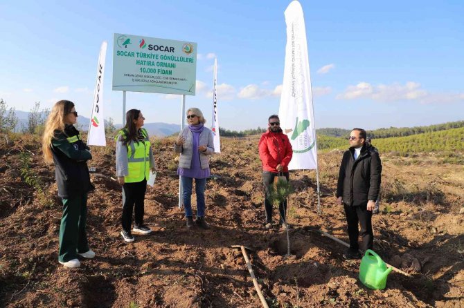 Geri Dönüştürülen Kağıtlardan 10 Bin Fidanlık Orman Oluşturuldu