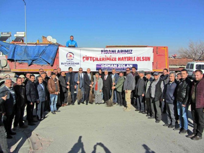 Denizli Cevizin Marka Şehri Olacak