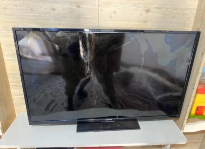 Dağ Keçisi Camı Kırıp Eve Girdi