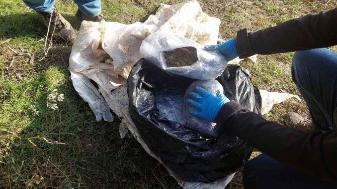 Köyden Adeta Esrar Fışkırdı: Her Yere Esrar Gizlenmiş