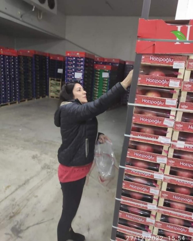 Sebze Meyve İhracatı Yapan Firmalardan İhracat Numunesi Alındı