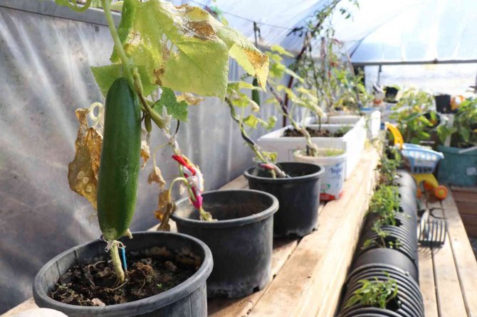 Alanya’nın Tek Köy Yaşam Merkezinde Öğrenci Ve Veliler Birlikte Eğitim Alıyor