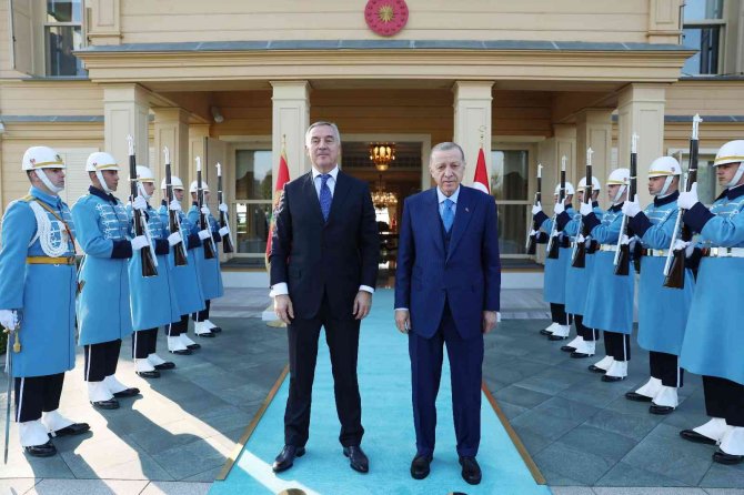 Cumhurbaşkanı Erdoğan, Karadağ Cumhurbaşkanı Cukanoviç Görüştü