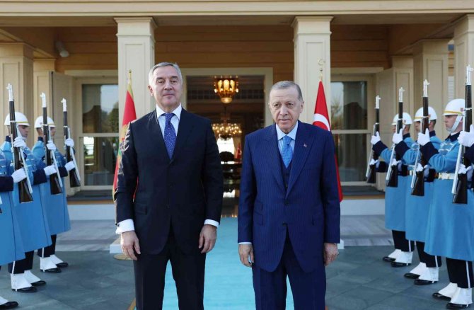 Cumhurbaşkanı Erdoğan, Karadağ Cumhurbaşkanı Cukanoviç Görüştü