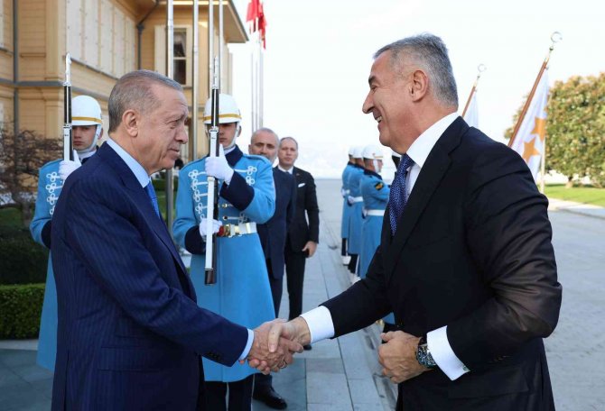 Cumhurbaşkanı Erdoğan, Karadağ Cumhurbaşkanı Cukanoviç Görüştü