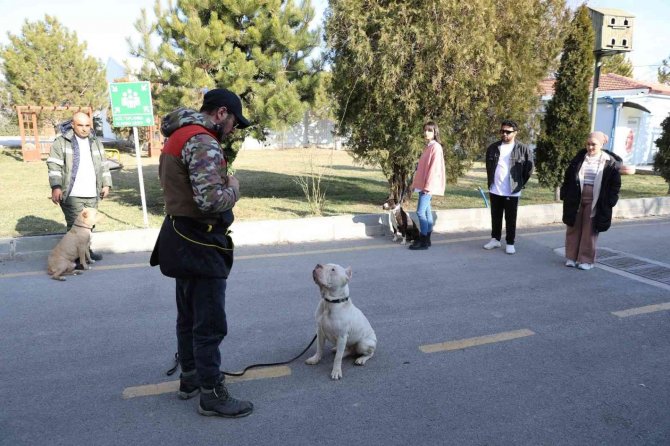 Niğde’de Tehlikeli Köpeklere Uyum Eğitimi Veriliyor