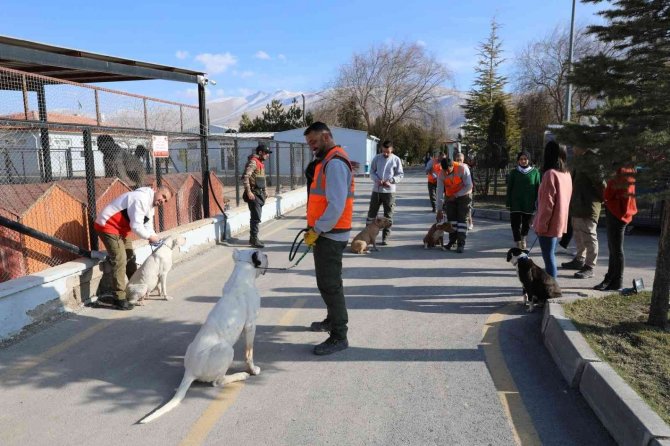 Niğde’de Tehlikeli Köpeklere Uyum Eğitimi Veriliyor