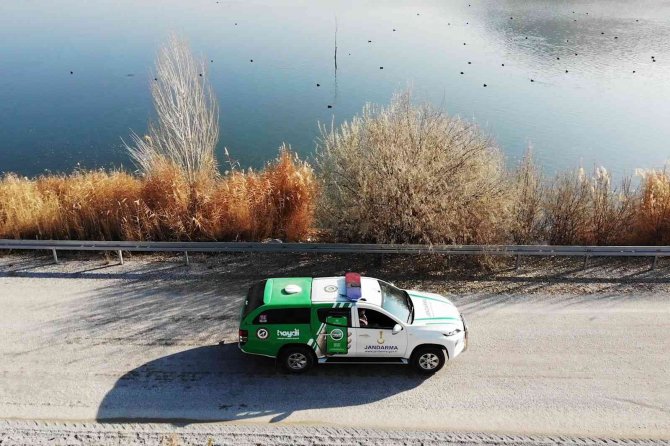 Jandarma Ekipleri, Sokak Hayvanları İçin Kulübe Yaptı