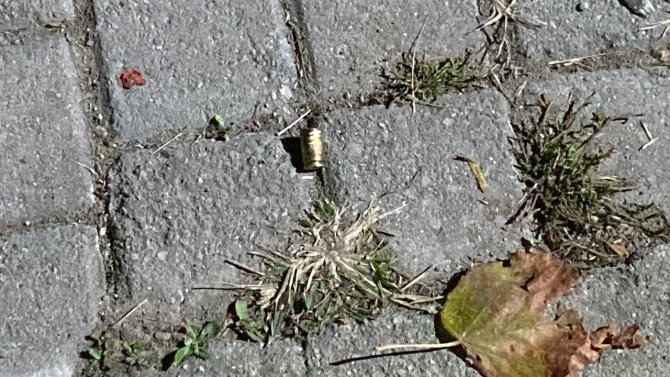 Darp Ettikleri Gencin Üzerine Kurşun Sıktılar, Vurulmayınca Bıçakladılar