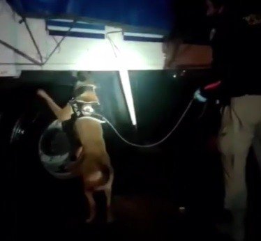Kamyon Kasasındaki Mobilyaların Arasından 64 Kilo Uyuşturucu Çıktı
