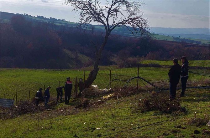 Köyü Esrar Tarlasına Çeviren Zanlı Tutuklandı